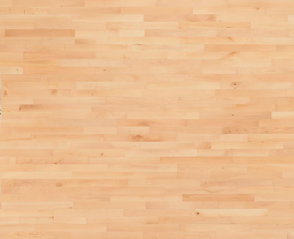 Hêtre SylvaSquash.Jpg